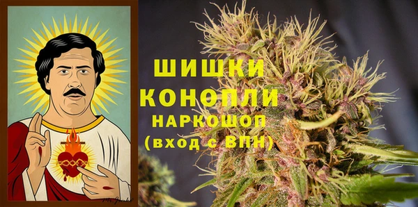 мдпв Лабытнанги