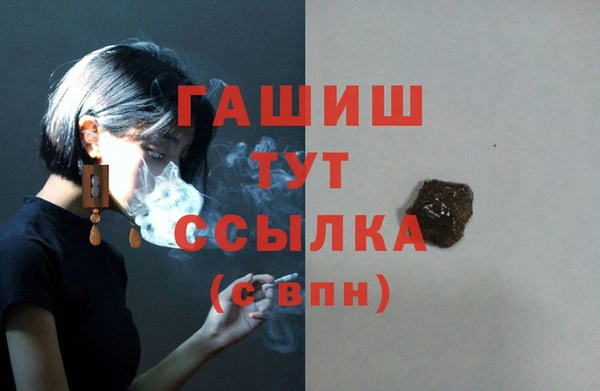 гашик Ладушкин