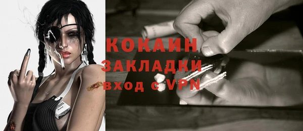 гашик Ладушкин