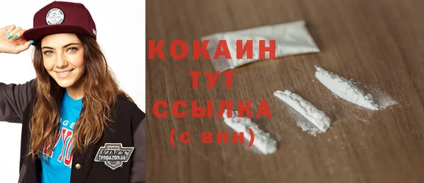 гашик Ладушкин