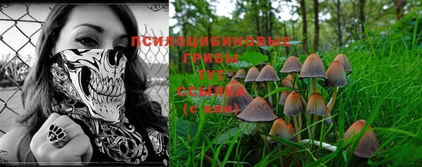 мдпв Лабытнанги