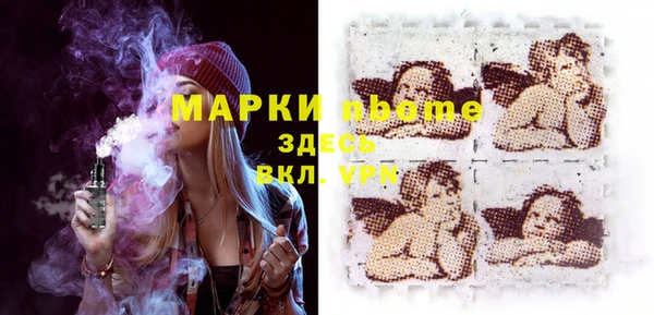 мдпв Лабытнанги