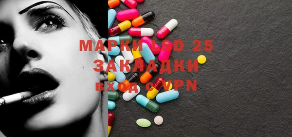 гашик Ладушкин