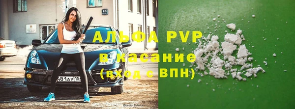гашик Ладушкин