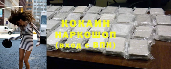 гашик Ладушкин