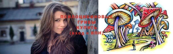 гашик Ладушкин