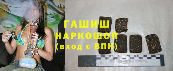 гашик Ладушкин