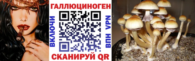 Псилоцибиновые грибы Psilocybe  сколько стоит  KRAKEN ссылка  Мостовской 